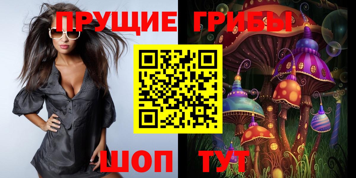 Псилоцибиновые грибы Cubensis  Вход с VPN  Омск 